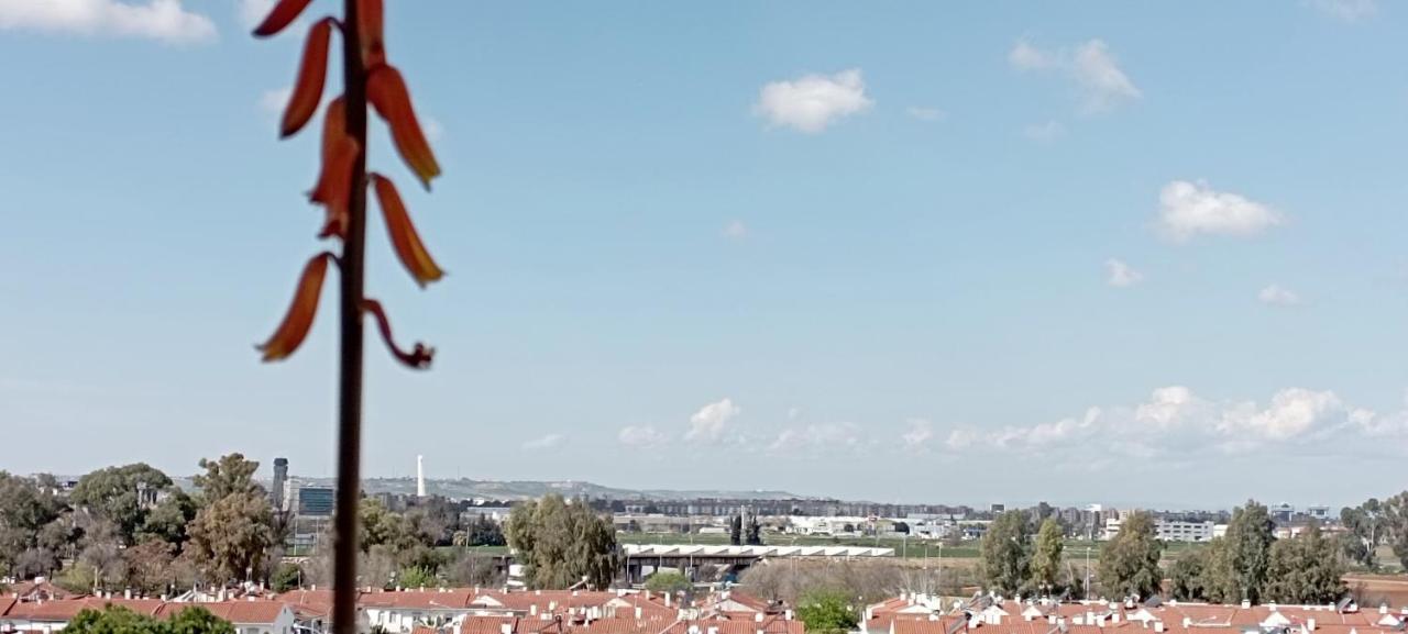 Apartamento Fibes Y Congresos Sevilla Eksteriør billede